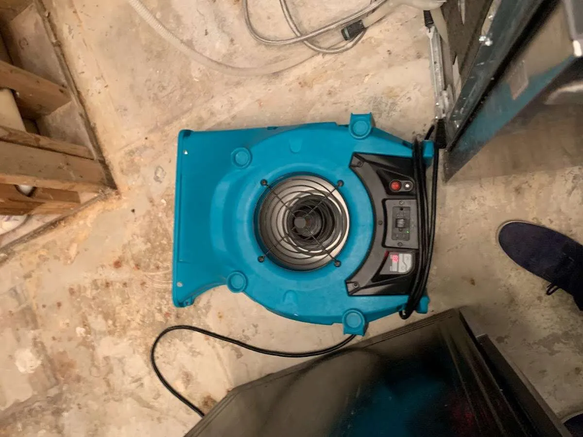 Air mover drying equipment for Mold Remediation & Removal in Southgate
